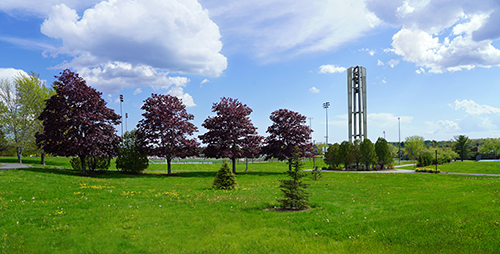 The bell tower on Husson University's campus is shown in this photo surrounded by green lawns and plants.