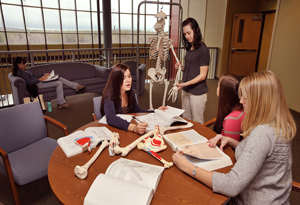 Students work at identifying human bones.
