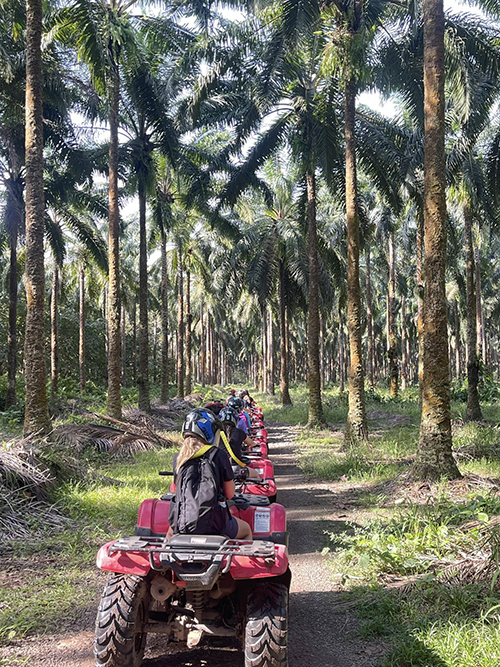 A row of people riding four wheelers is shown.